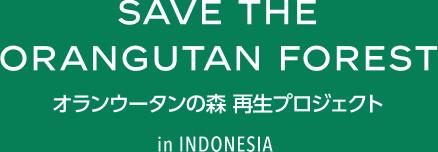 SAVE THE ORANGUTAN FOREST オランウータンの森 再生プロジェクト IN INDONESIA